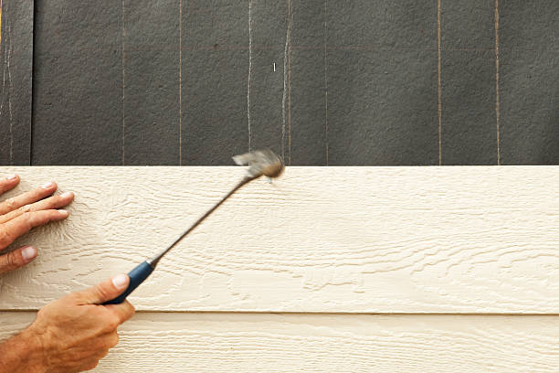 Best Historical Building Siding Restoration  in Palmetto, GA